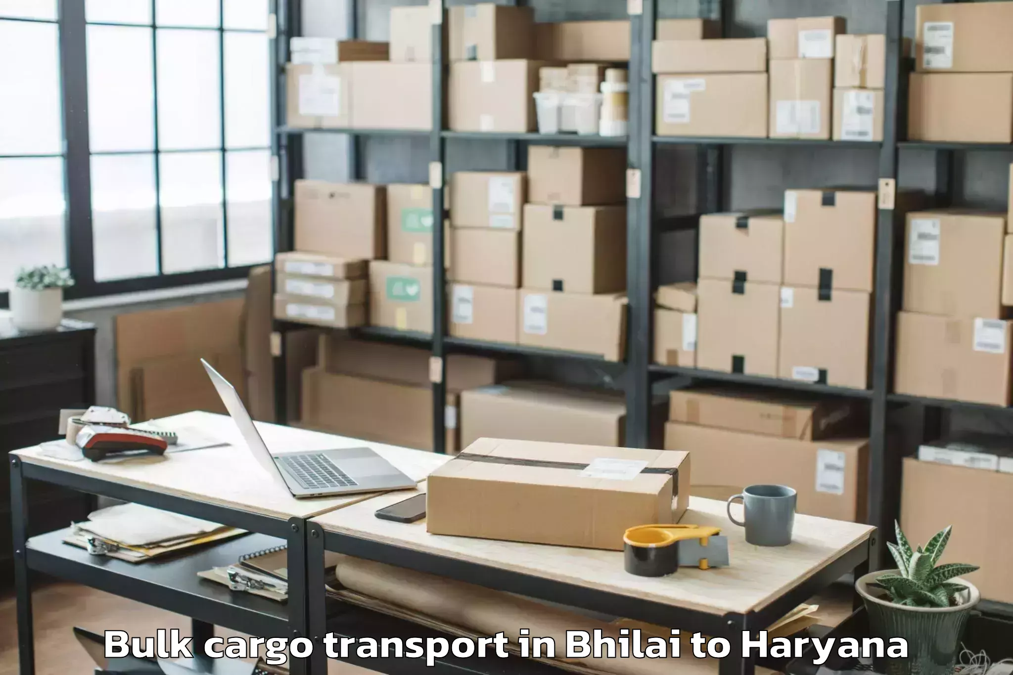 Leading Bhilai to Lingayas University Faridabad Bulk Cargo Transport Provider